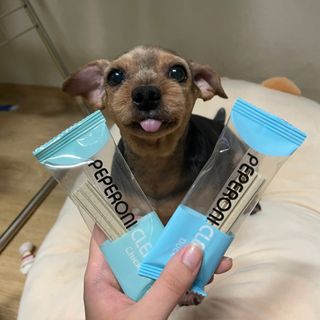 세지니힛님이 올린 리뷰 사진 2