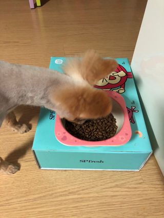 다솜이마마님이 올린 리뷰 사진 4