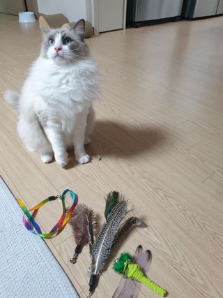 로크찡님이 올린 리뷰 사진 1