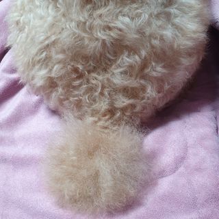 Eileen님이 올린 리뷰 사진 3