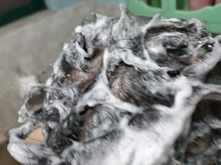 도아님이 올린 리뷰 사진 2