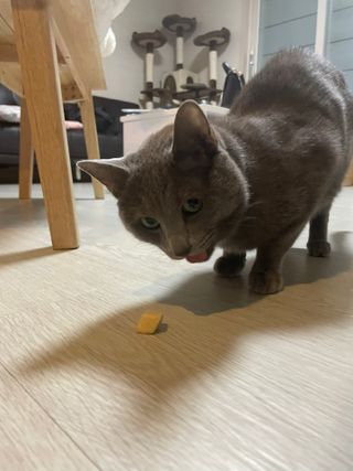 여온님이 올린 리뷰 사진 3