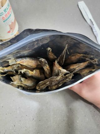 [펫시밀] 원물그대로 영양듬뿍 진공동결건조 치킨텐더100g, 열빙어트릿100g 강아지 고양이 간식 — 5점을 준 리뷰어가 2023년 5월 올린 사용 사진