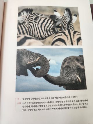 angellappp님이 올린 리뷰 사진 2