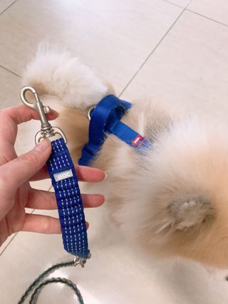 밍크마마님이 올린 리뷰 사진 2