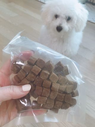 My Pet Care 천연단백질 관절건강에 개좋아 — 5점을 준 리뷰어가 2021년 2월 올린 사용 사진