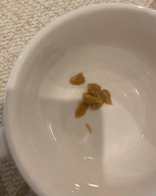 리디아은서님이 올린 리뷰 사진 3