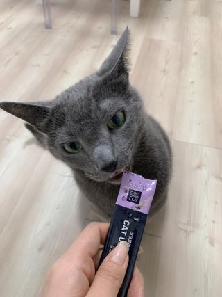 어린이님이 올린 리뷰 사진 2