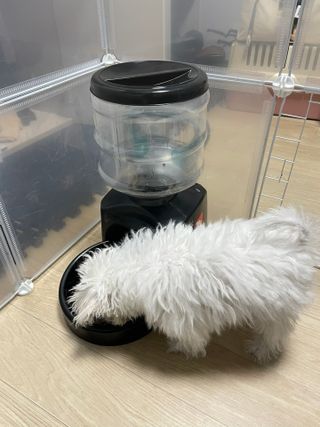 정주리님이 올린 리뷰 사진 3