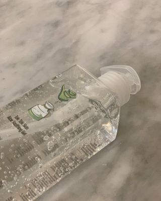 비베숑님이 올린 리뷰 사진 3