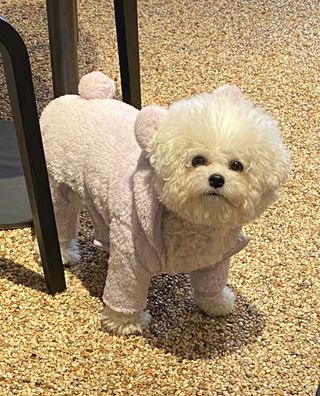 순애님이 올린 리뷰 사진 3