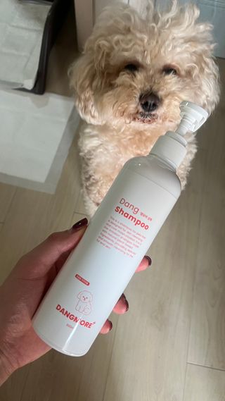 [댕모어 샴푸 2종] 댕샴푸 / 퍼피샴푸  2종 세트 (300ml) — 5점을 준 리뷰어가 2023년 11월 올린 사용 사진