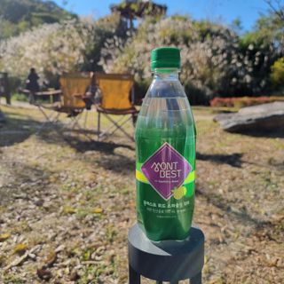 몽베스트 Montbest with Sparkling water Lemon OR Lime 20병(랜덤) — 5점을 준 리뷰어가 2022년 10월 올린 사용 사진