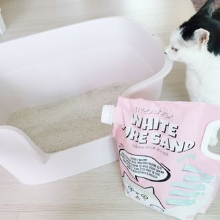 [미유박스] 화이트 퓨어 샌드 6kg — 5점을 준 리뷰어가 2024년 6월 올린 사용 사진