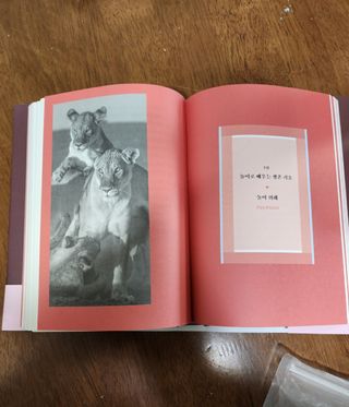 보리엄마님이 올린 리뷰 사진 3