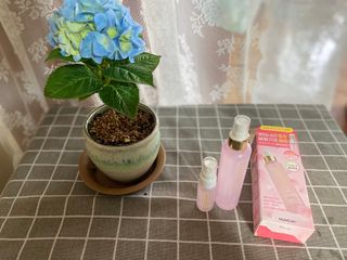 화이집사님이 올린 리뷰 사진 2