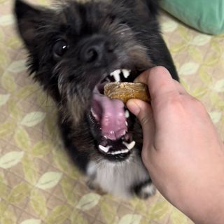 최수완님이 올린 리뷰 사진 4
