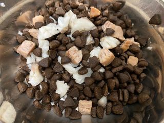 [푸디웜] 라포그  리얼인섹트 웨이트밸런스 저알러지 강아지 사료  1.2KG — 2.5점을 준 리뷰어가 2021년 7월 올린 사용 사진