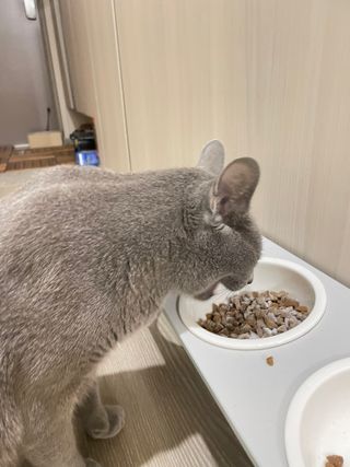 여온님이 올린 리뷰 사진 2