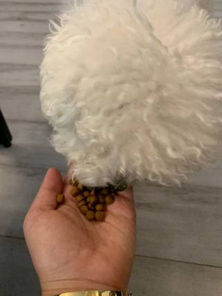 큐티윤님이 올린 리뷰 사진 4