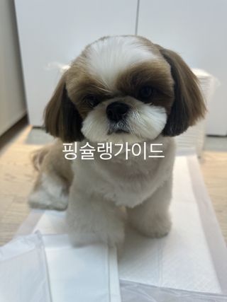 박코끼리님이 올린 리뷰 사진 1