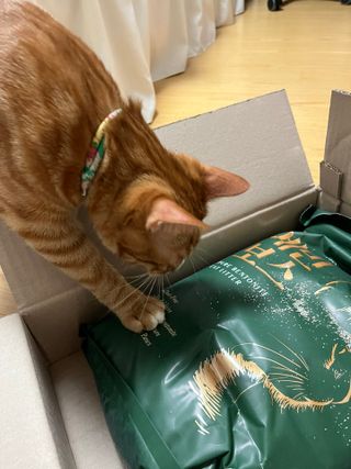 오잉님이 올린 리뷰 사진 2