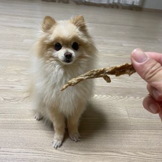 세지니힛님이 올린 리뷰 사진 2
