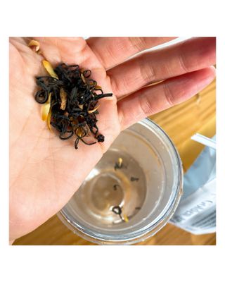 마시다 태양의 축복을 받은 프리미엄 수제 블렌딩 홍차, 골든에이지블랙티 — 5점을 준 리뷰어가 2021년 3월 올린 사용 사진