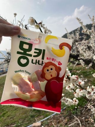 초비야님이 올린 리뷰 사진 3