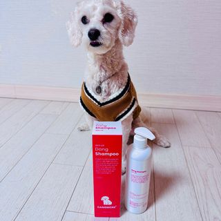 가드니아님이 올린 리뷰 사진 2