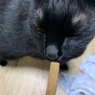 My Pet Care 천연단백질 치아건강에 개좋아 — 2.5점을 준 리뷰어가 2021년 1월 올린 사용 사진