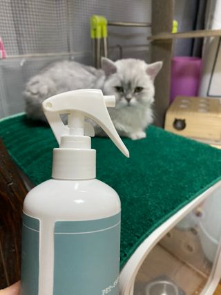 단발소녀님이 올린 리뷰 사진 1