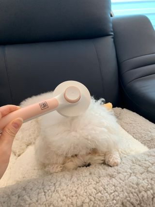 큐티윤님이 올린 리뷰 사진 4