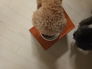 몽이님이 올린 리뷰 사진 3