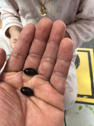 메디포스트 모비타 아쿠아셀 엔초비오메가3 60캡슐 — 5점을 준 리뷰어가 2023년 1월 올린 사용 사진