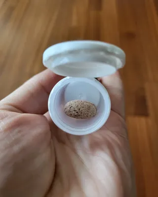 한미사이언스 주식회사 한미사이언스 화싹 — 5점을 준 리뷰어가 2022년 11월 올린 사용 사진