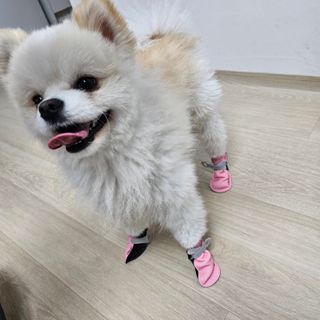 하울님이 올린 리뷰 사진 3