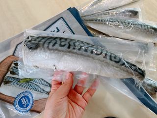㈜금호통상 노르웨이 고등어 900g (6~10편) — 5점을 준 리뷰어가 2023년 6월 올린 사용 사진