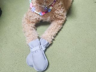 란아님이 올린 리뷰 사진 3
