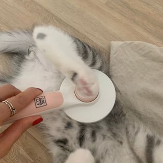 쏘빛나라님이 올린 리뷰 사진 3