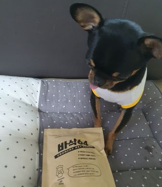 [보헤리] 국내산 강아지 육포간식 바삭 64 2종 — 5점을 준 리뷰어가 2022년 4월 올린 사용 사진
