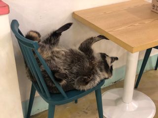 쪼다님이 올린 리뷰 사진 2