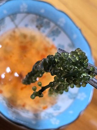 [피터씨마켓] 바다포도 100g(20g x 5봉) 우미부도 그린캐비어 ASMR 소분포장 — 5점을 준 리뷰어가 2024년 8월 올린 사용 사진