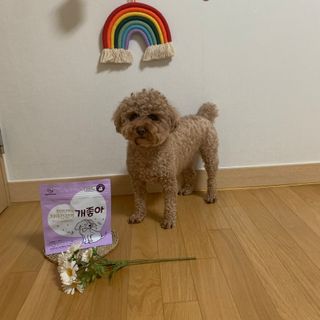 우주님이 올린 리뷰 사진 2