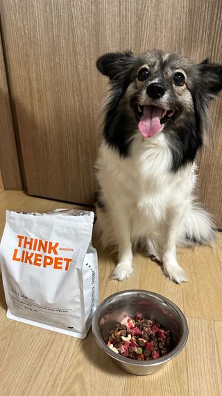 씽크라이크펫 큐브생식 1kg — 4점을 준 리뷰어가 2022년 11월 올린 사용 사진