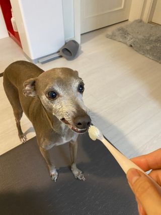 정봐기린님이 올린 리뷰 사진 2