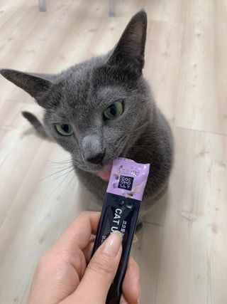 어린이님이 올린 리뷰 사진 1