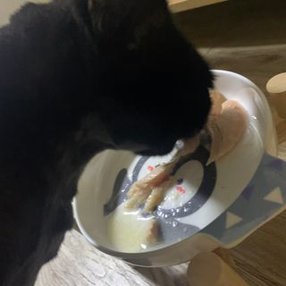 수린님이 올린 리뷰 사진 1