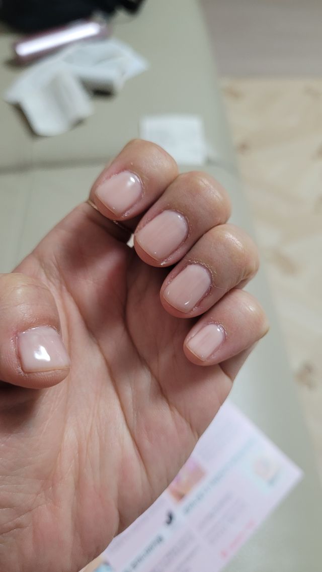 데일리 비건 젤네일 12종 리뷰 사진