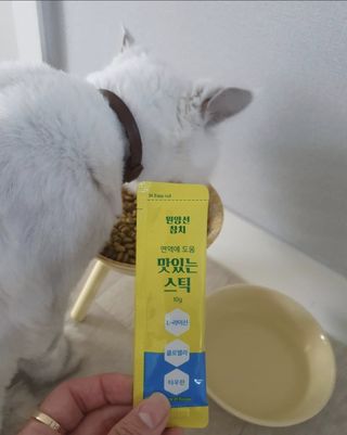 이수빈님이 올린 리뷰 사진 1
